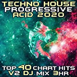 The Funk (Techno House Progressive Acid 2020 DJ Mixed)
