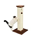Amazon Basics Tall Cat Scratching Post with Jute Fiber and Carpet, Large, Brown Carpet, 16 in x 16 in x 35 in