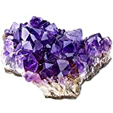 Top Plaza Natural Amethyst Geode Cave Healing Crystal Stones Rock Cluster Druzy Witchcraft Raw Amethyst Gemstone Specimen (0.66-0.88 lb)