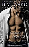 Damaged: Novel 1 (Damaged series)