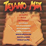 Tejano Mix (Radio Edit)