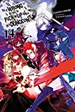 Is It Wrong to Try to Pick Up Girls in a Dungeon?, Vol. 14 (light novel) (Is It Wrong to Pick Up Girls in a Dungeon?)