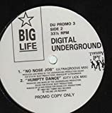 DIGITAL UNDERGROUND / NO NOSE JOB