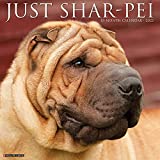 Just Shar-Peis 2022 Wall Calendar (Dog Breed)