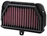 K&N Engine Air Filter: High Performance, Premium, Powersport Air Filter: Fits 2009-2019 APRILIA (Tuono, V4 1100 Factory, V4 1100RR, 1000 R, 1100RR ABS, RSV4, APRC) AL-1010R