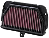 K&N Engine Air Filter: High Performance, Premium, Powersport Air Filter: Fits 2009-2019 APRILIA (Tuono, V4, Factory, 1100RR, RSV4) AL-1010