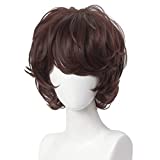 Alacos Short Brown Wig Curly Cosplay Unisex Fashion Anime Wig for Boys +Wig Cap (Brown)