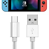 TALK WORKS USB C Charger Cable for Nintendo Switch / Lite & Pro Controller - 6ft Nylon Braided USB Type C Charging Cable - Silver
