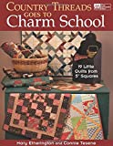 Country Threads Goes to Charm School: 19 Little Quilts from 5" Squares