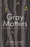 Gray Matters: Finding Meaning in the Stories of Later Life (Global Perspectives on Aging)