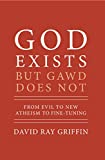 God Exists but Gawd Does Not: From Evil to New Atheism to Fine-Tuning (Theological Explorations Book 2)