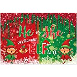 Funnytree 68" x 45" Christmas Gender Reveal Backdrop Merry Xmas Pregnant Announcemen Gender Neutral Party Supplies Winter He or She What The ELf is it Baby Shower Banner Decoration Photo Booth Prop