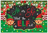 Funnytree 7x5ft Christmas Gender Reveal Backdrop for Party Merry Xmas Red Green Elf Background Winter He or She Boy or Girl What The ELf is it Baby Shower Banner Decoration Supplies Photo Booth Prop