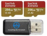 SanDisk Extreme V30 A2 256GB Micro SD Card (Two Pack) for DJI Air 2S Drone (SDSQXA1-256G-GN6MN) Class 10 160MB/s Read Speed SDXC Bundle with (1) Everything But Stromboli MicroSDXC Memory Card Reader