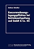 Konzernrechnungslegungspflichten bei Betriebsaufspaltung und GmbH & Co. KG (DUV Wirtschaftswissenschaft) (German Edition)