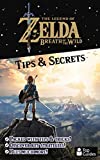 Zelda: Breath of the Wild Tips & Secrets