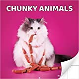 Super Cute and Hilarious 14 Month Chunky Animals Wall Calendar 2021-2022. Big 12x12 Inch Novelty Gift for Men and Women. Funny Stocking Stuffer, Office Decor, or White Elephant Idea for Animal Lovers