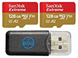 SanDisk Extreme (UHS-1 U3 / V30) A2 128GB MicroSD (2 Pack) Memory Card for GoPro Hero 9 Black Action Cam Hero9 SDXC (SDSQXA1-128G-GN6MN) Bundle with (1) Everything But Stromboli Micro SD Card Reader