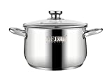 Stock Pots,5 QT Stainless Steel Saucepot with Glass Lid Silver Anti-scalding Handle Stockpot By DERUI CREATION (5QT(9.45x6.10), Silver)