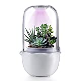 Succulent Pot with Grow Light,Smart Succulent Planters with Timer and Fan,Small Indoor Plant Pots with Drainage Hole for Tabletop Plant,Ideal Gift for Friend,Bridesmaid,Graduation,Birthday(No Plant)