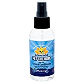 Bodhi Dog Natural Pet Cologne | Premium Scented Perfume Body Spray for Dogs and Cats | Clean and Fresh Scent | Natural Conditioning Qualities | Made in USA (Blueberry, 4oz)