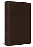 ESV Concise Study Bible (TruTone, Brown)