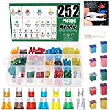 Keadic 252Pcs Full Range Car Blade Fuses Assortment Kit, Automotive Assorted Fuses with a Puller Tool for Ford Chevy/GM Nissan and Toyota Pickup Trucks Cars and SUVs - 5A 7.5A 10A 15A 2