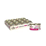 Wellness CORE Digestive Health Salmon Pate Wet Cat Food, 3 Ounce Can (Pack of 12)