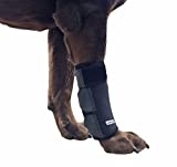 Labra Dog Canine Front Leg Compression Wrap Sleeve Protects Wounds Brace Heals and Prevents Injuries and Sprains Helps with Loss of Stability Caused by Arthritis (Large/Extra Large)