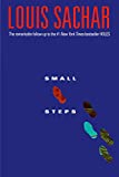 Small Steps (Holes Book 2)