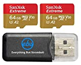 SanDisk Extreme 64GB (2 Pack) MicroSD Memory Card for DJI Mavic Mini 2, Mavic Mini, Mavic Air 2 Drone - C10 A2 V30 SDXC (SDSQXAH-064G-GN6MN) Bundle with (1) Everything But Stromboli Micro Card Reader