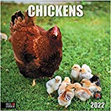 RED EMBER Chickens 2022 Hangable Wall Calendar - 12" x 24" Opened - Thick & Sturdy Paper - Giftable - Birds of a Feather