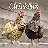 Chickens Calendar - Calendars 2021 - 2022 Wall Calendars - Animal Calendar - Chickens 16 Month Wall Calendar by Avonside