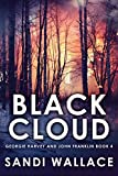 Black Cloud (Georgie Harvey and John Franklin Book 4)