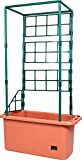 Hydrofarm GCTR 10 Gal Tomato Garden Planting Grow System with 4 Foot Trellis Wheels for Indoor/Outdoor Climbing Vines & Flowers Tree Tower, Green