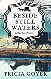 Beside Still Waters: A Big Sky Novel