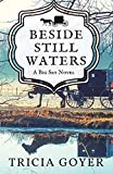 Beside Still Waters: A Big Sky Novel