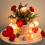 LOLSTAR Valentines Day Rose String Lights 10 ft 20 LED Battery Operated Rose Flower String Lights for Valentine's Day Decoration Anniversary Wedding Birthday Party Decorations Large Diameter 2.7 inch