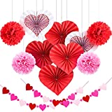 Blulu Valentine's Day Paper Kit Party Decorations, Multicolor Tissue Paper Flowers Bunting Hanging Fan for Party Decorations (12 Pieces Style 1)