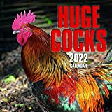 16-Month 2022 Calendar with 180 Reminder Stickers, Huge Cocks (12 x 12 In)