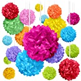 Avoseta Tissue Paper Pom Poms - 20 Piece Set - Sizes of 6", 8", 10", 14" - Colorful Party Decorations for Birthdays, Weddings and Special Occasions - Multicolor