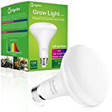 LED Grow Light Bulb, Briignite BR30 Grow Light Bulbs, Full Spectrum Grow Light Bulb 12W, 120W Equivalent, Plant Light Bulbs E26 Base, Grow Light for Indoor Plants, Seedlings, Greenhouse, Hydroponic