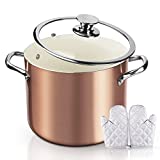 FRUITEAM Nonstick Stock Pot 7 Qt Soup Pasta Pot with Lid, 7-Quart Multi Stockpot Oven Safe Cooking Pot for Stew, Sauce & Reheat Food, Induction/ Oven/ Gas/ Stovetops Compatible for Family Meals
