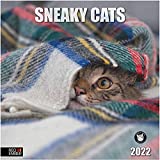 RED EMBER Sneaky Cats 2022 Hangable Wall Calendar - 12" x 24" Opened - Thick & Sturdy Paper - Giftable - Cute Kittens - Cunning Kitties