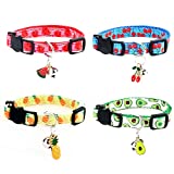 Cat Collars Breakaway with Bell - 4 Pack Cat Safety Collars for Boys & Girls - Safety Buckle Kitten Collar for Pet Supplies,Stuff,Accessories