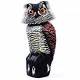 Hedoc Fake Owl Decoys to Scare Birds Away, Rotating Head Sculptures, Nature Enemy Scarecrow Plastic Statues, Pest Repellent, Bird Control and Pigeon Deterrent Outdoor Yard, Garden Protectors