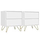Yaheetech 2pcs End Table with 2 Storage Drawers Iron Legs - Coffee Table Sofa Side Table Storage Cabinet for Living Room, 20Lx16Wx22.5H Inch, White