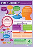 What is Sociology | Sociology Posters | Laminated Gloss Paper Measuring 33â€ x 23.5â€ | Sociology Class Posters | Education Charts by Daydream Education