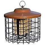 More Birds Squirrel-X Double Suet Feeder, Outdoor Wild Bird Feeder, Cage Bird Feeder, 2 Suet Cake Capacity