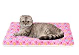 FJWYSANGU Pet Blanket Premium Fluffy Flannel Cushion Soft and Warm Mat for Dogs Cats Small Size Animal Pink Stars